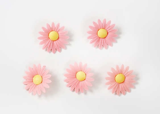 포토 JPG 해외이미지 스튜디오촬영 꽃 음식 분홍색 사람없음 장식 벚꽃 그룹 달콤 데이지 머리위 식용 해외202004 해외202105 해외포토 식물 컬러 실내 맛 파일형식