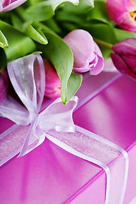 포토 JPG 해외이미지 리본 실내 근접촬영 사람없음 선물상자 튤립 해외202004 해외포토 꽃 뷰포인트 선물 내부 상자 파일형식