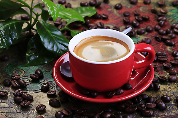 포토 JPG 해외이미지 커피 음료 잎 쟁반 사람없음 컵 빨간색 초록색 숟가락 원두 나뭇가지 뜨거움 커피잔 컵받침 에스프레소 정물화 무알코올 해외202004 해외202105 해외포토 나무 식물 식기 컬러 잔 수저 받침대 그림 파일형식