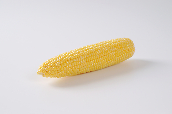 포토 JPG 해외이미지 실내 옥수수 사람없음 흰배경 해외202004 해외202105 해외포토 백그라운드 곡류 내부 흰색 파일형식