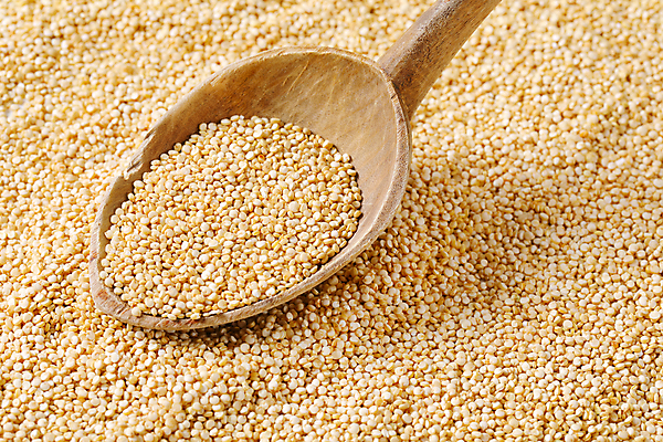 포토 JPG 해외이미지 스튜디오촬영 음식 재료 건조 건강 씨앗 사람없음 목재 숟가락 흰색 닫기 낟알 알맹이 날것 생식 퀴노아 슈퍼푸드 해외202004 해외202105 해외포토 나무 식물 컬러 모션 곡류 수저 실내 건강식품 파일형식