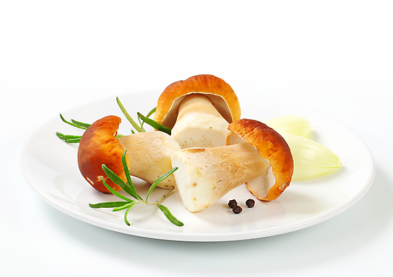 포토 JPG 해외이미지 스튜디오촬영 접시 식재료 실내 사람없음 흰배경 로즈메리 그물버섯 해외202004 해외202105 해외포토 식기 백그라운드 내부 버섯 흰색 허브 파일형식