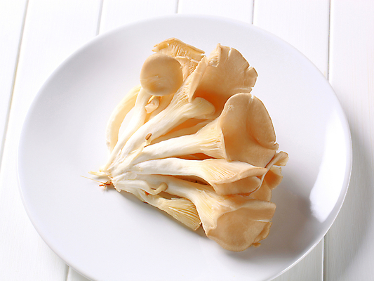 포토 JPG 해외이미지 접시 식재료 실내 사람없음 느타리버섯 해외202004 해외202105 해외포토 식기 내부 버섯 파일형식