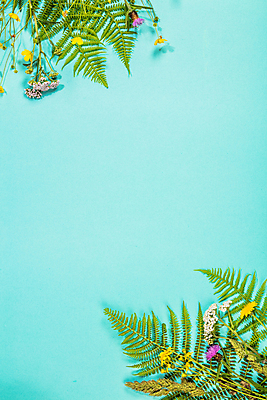 포토 JPG 해외이미지 꽃 잎 실내 사람없음 파란배경 카피스페이스 해외202004 해외포토 식물 백그라운드 내부 파란색 공백 파일형식