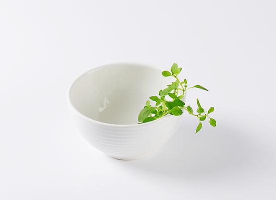 포토 JPG 해외이미지 스튜디오촬영 음식 잎 재료 사람없음 흰색 나뭇가지 신선 사발 유기농 날것 오레가노 해외202004 해외202105 해외포토 나무 식물 웰빙 컬러 실내 사기그릇 파일형식