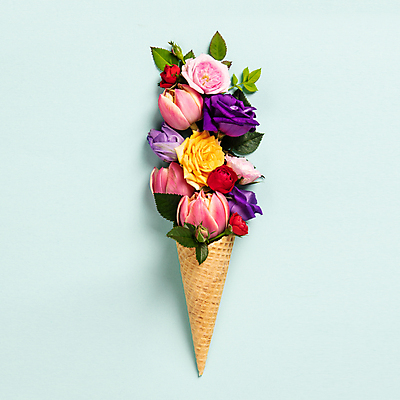 포토 해외이미지 꽃 잎 추상 실내 사람없음 장미 튤립 파란배경 아이스크림콘 해외202004 해외포토 식물 백그라운드 무늬 내부 파란색 콘 파일형식