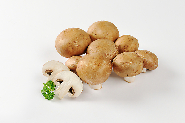 포토 JPG 해외이미지 식재료 단면 실내 파슬리 사람없음 흰배경 양송이 해외202004 해외202105 해외포토 백그라운드 채소 내부 버섯 흰색 파일형식