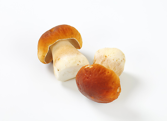 포토 JPG 해외이미지 스튜디오촬영 식재료 실내 사람없음 흰배경 그물버섯 해외202004 해외202105 해외포토 백그라운드 내부 버섯 흰색 파일형식