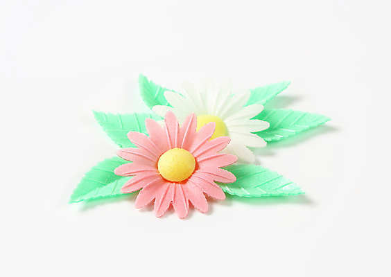 포토 JPG 해외이미지 스튜디오촬영 꽃 음식 분홍색 잎 사람없음 장식 벚꽃 흰색 달콤 데이지 식용 해외202004 해외202105 해외포토 식물 컬러 실내 맛 파일형식