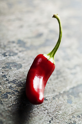 포토 JPG 해외이미지 식재료 회색배경 사람없음 한개 매움 홍고추 해외202004 해외포토 1 백그라운드 고추 회색 맛 파일형식