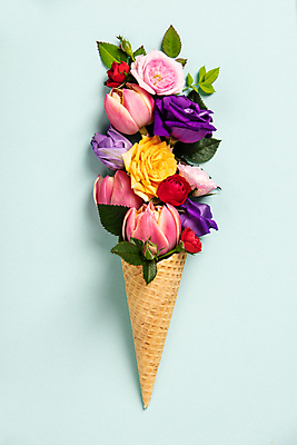 포토 해외이미지 꽃 잎 추상 실내 사람없음 장미 튤립 파란배경 아이스크림콘 해외202004 해외포토 식물 백그라운드 무늬 내부 파란색 콘 파일형식