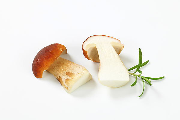 포토 JPG 해외이미지 스튜디오촬영 식재료 단면 실내 사람없음 흰배경 슬라이스 로즈메리 그물버섯 해외202004 해외202105 해외포토 백그라운드 내부 버섯 흰색 허브 파일형식