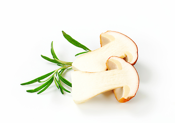 포토 JPG 해외이미지 스튜디오촬영 식재료 단면 실내 사람없음 흰배경 슬라이스 로즈메리 그물버섯 해외202004 해외202105 해외포토 백그라운드 내부 버섯 흰색 허브 파일형식