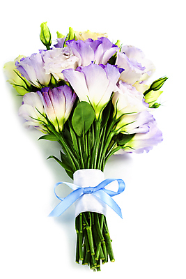 포토 JPG 해외이미지 리본 부케 실내 사람없음 흰배경 리시안셔스 해외202004 해외포토 꽃다발 백그라운드 내부 흰색 파일형식