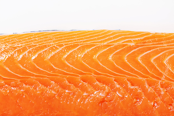 포토 JPG 해외이미지 음식 백그라운드 오렌지 건강 어류 사람없음 신선 횡단보도 묘사 질감 날것 연어 송어 해외202004 해외202105 송어회 해외포토 과일 수중동물 생선회 보행로 파일형식