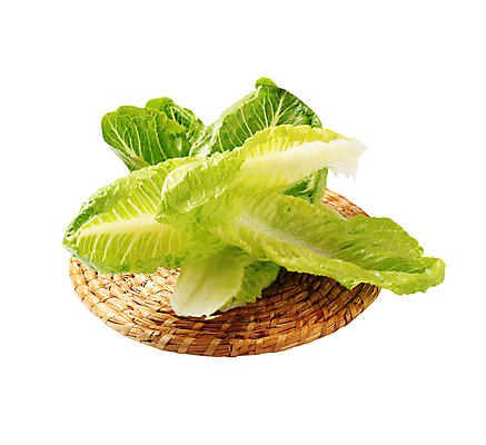 포토 JPG 해외이미지 음식 잎 재료 건강 사람없음 초록색 샐러드 매트 신선 상추 자르기 흰배경 유기농 날것 밀짚 고립 반주 채식주의자 해외202004 해외202105 해외포토 식물 웰빙 컬러 백그라운드 채소 모션 흰색 짚 채식 파일형식