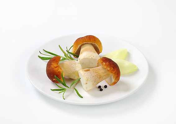 포토 JPG 해외이미지 스튜디오촬영 접시 식재료 양파 실내 사람없음 흰배경 로즈메리 그물버섯 해외202004 해외202105 해외포토 식기 백그라운드 채소 내부 버섯 흰색 허브 파일형식