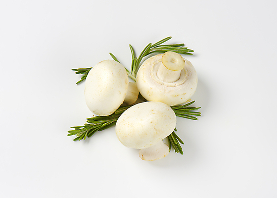 포토 JPG 해외이미지 스튜디오촬영 식재료 실내 사람없음 흰배경 양송이 로즈메리 해외202004 해외202105 해외포토 백그라운드 내부 버섯 흰색 허브 파일형식