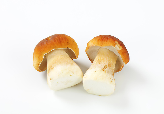 포토 JPG 해외이미지 스튜디오촬영 식재료 실내 사람없음 흰배경 그물버섯 해외202004 해외202105 해외포토 백그라운드 내부 버섯 흰색 파일형식