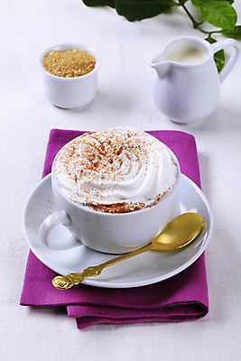 포토 JPG 해외이미지 잎 실내 사람없음 커피잔 티스푼 컵받침 흰배경 냅킨 시나몬가루 비엔나커피 시럽컵 황설탕 해외202004 해외202105 해외포토 식물 커피 백그라운드 잔 내부 숟가락 흰색 가루 설탕 받침대 시나몬 파일형식