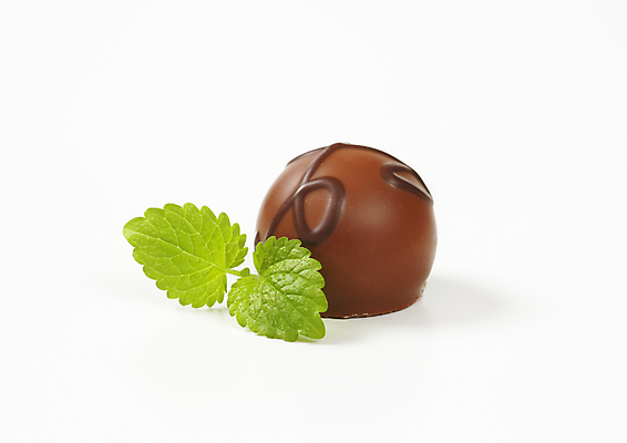 포토 JPG 해외이미지 스튜디오촬영 음식 사탕 사람없음 초콜릿 견과류 달콤 가득함 프랄린 해외202004 해외202105 해외포토 디저트 실내 맛 파일형식