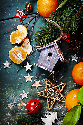 포토 JPG 해외이미지 별 크리스마스장식 크리스마스 귤 사람없음 하이앵글 크리스마스트리 나뭇가지 솔방울 새장 침엽수 나무탁자 오너먼트 해외202004 해외포토 자연요소 나무 기념일 뷰포인트 과일 탁자 케이지 파일형식