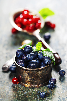 포토 JPG 해외이미지 사람없음 숟가락 담기 블루베리 해외202004 해외포토 과일 모션 수저 파일형식