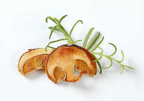 포토 JPG 해외이미지 건조 실내 사람없음 버섯 흰배경 로즈메리 해외202004 해외202105 해외포토 백그라운드 내부 흰색 허브 파일형식