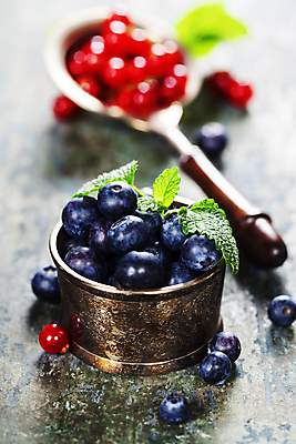 포토 JPG 해외이미지 사람없음 숟가락 담기 블루베리 베리 해외202004 해외포토 과일 모션 수저 파일형식