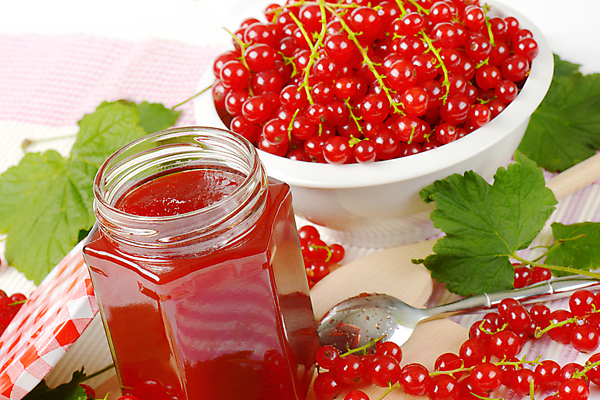 포토 JPG 해외이미지 스튜디오촬영 그릇 잎 유리병 실내 사람없음 숟가락 과일잼 과일젤리 레드커런트 해외202004 해외202105 해외포토 식물 식기 열매 병_용기 수저 내부 잼 젤리 파일형식