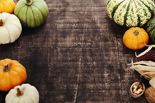 포토 JPG 해외이미지 호박 실내 사람없음 농작물 가을 호두 추수감사절 나무탁자 카피스페이스 흑찰옥수수 해외202004 해외포토 계절 기독교 농업 채소 탁자 내부 공백 견과류 찰옥수수 파일형식