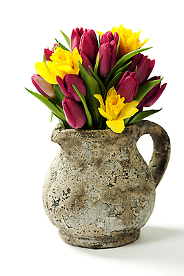 포토 JPG 해외이미지 꽃다발 실내 사람없음 꽃병 튤립 흰배경 해외202004 해외포토 꽃 백그라운드 내부 흰색 파일형식