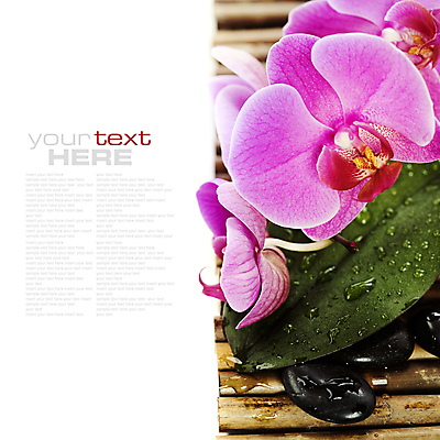 포토 JPG 해외이미지 잎 텍스트 근접촬영 사람없음 쌓기 스파 스파용품 아로마테라피 난초꽃 해외202004 해외포토 식물 꽃 뷰포인트 모션 난초 오브젝트 테라피 파일형식