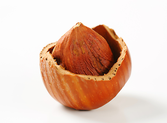 포토 JPG 해외이미지 단면 실내 근접촬영 사람없음 한개 껍질 흰배경 헤이즐넛 해외202004 해외202105 해외포토 1 뷰포인트 백그라운드 내부 견과류 흰색 파일형식