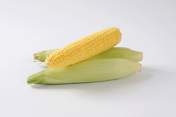 포토 JPG 해외이미지 실내 옥수수 사람없음 흰배경 옥수수껍질 해외202004 해외202105 해외포토 백그라운드 곡류 내부 껍질 흰색 파일형식