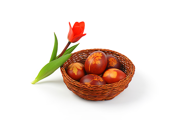 포토 JPG 해외이미지 스튜디오촬영 전통 디자인 꽃 음식 꽃무늬 패턴 휴가 부활절 요리 사람없음 장식 빨간색 갈색 바구니 봄 튤립 껍질 화려 그리기 그룹 심볼 흰배경 에코 친환경 부활절계란 내추럴 삶기 핸드메이드 해외202004 해외202105 해외포토 식물 계절 기념일 컬러 백그라운드 컨셉 무늬 모션 실내 환경 계란 흰색 파일형식