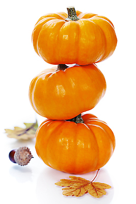 포토 JPG 해외이미지 낙엽 호박 실내 사람없음 농작물 쌓기 가을 흰배경 도토리 해외202004 해외포토 계절 백그라운드 잎 농업 채소 모션 내부 견과류 흰색 파일형식