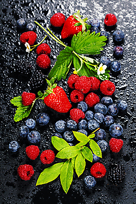 포토 JPG 해외이미지 딸기 사람없음 체리 블루베리 산딸기 블랙베리 해외202004 해외포토 과일 파일형식