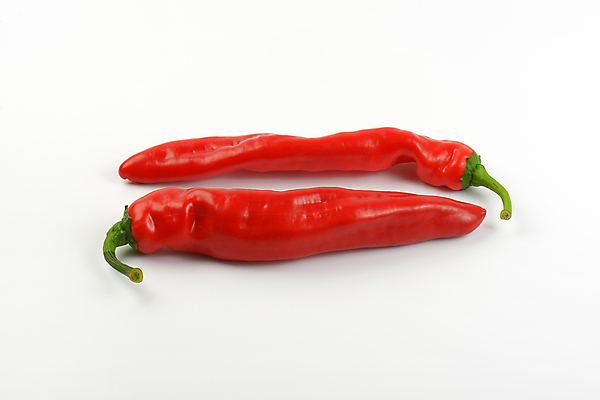 포토 JPG 해외이미지 고추 실내 사람없음 흰배경 해외202004 해외202105 해외포토 백그라운드 채소 내부 흰색 파일형식