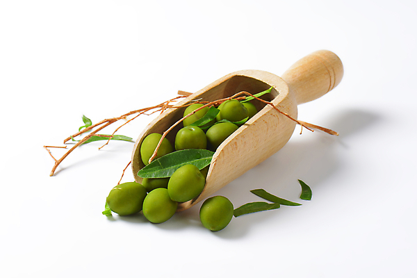 포토 JPG 해외이미지 스튜디오촬영 실내 사람없음 여러개 흰배경 올리브 스쿱 올리브잎 해외202004 해외202105 해외포토 열매 다수 백그라운드 잎 내부 흰색 파일형식