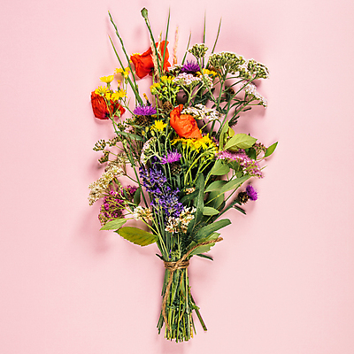 포토 JPG 해외이미지 꽃다발 실내 사람없음 들꽃 노끈 분홍색배경 해외202004 해외포토 꽃 줄 분홍색 백그라운드 내부 파일형식