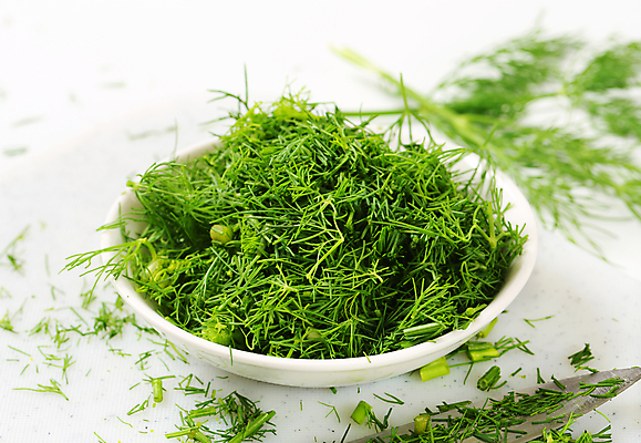 포토 JPG 해외이미지 스튜디오촬영 식물 음식 잎 재료 사람없음 초록색 신선 사발 허브 딜 개조 해외202004 해외202105 해외포토 컬러 실내 사기그릇 파일형식