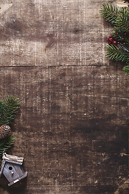 포토 JPG 해외이미지 잎 크리스마스장식 크리스마스 크리스마스용품 실내 사람없음 목재 나무바닥 솔방울 새장 카피스페이스 크리스마스배경 해외202004 해외포토 나무 식물 기념일 백그라운드 재료 바닥 내부 공백 용품 케이지 파일형식