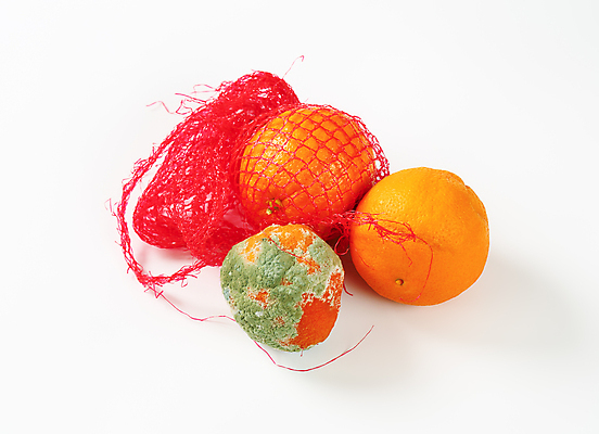 포토 JPG 해외이미지 스튜디오촬영 음식 가방 오렌지 과일 포장 귤 사람없음 초록색 껍질 신선 그물 흰배경 유기농 날것 망사 나쁜 숙성 썩음 해외202004 해외202105 해외포토 웰빙 잡화 컬러 백그라운드 실내 흰색 직물 파일형식