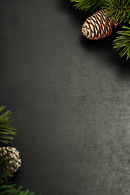 포토 JPG 해외이미지 잎 크리스마스 크리스마스용품 검은배경 실내 사람없음 솔방울 카피스페이스 크리스마스배경 해외202004 해외포토 식물 기념일 백그라운드 내부 검은색 공백 용품 파일형식