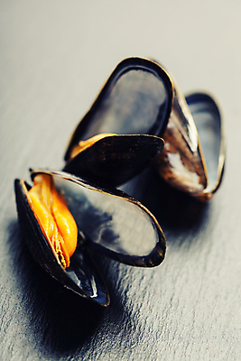 포토 JPG 해외이미지 근접촬영 사람없음 홍합 해외202004 해외포토 뷰포인트 어패류 파일형식