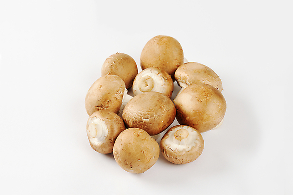 포토 JPG 해외이미지 식재료 실내 사람없음 양송이 해외202004 해외202105 해외포토 내부 버섯 파일형식