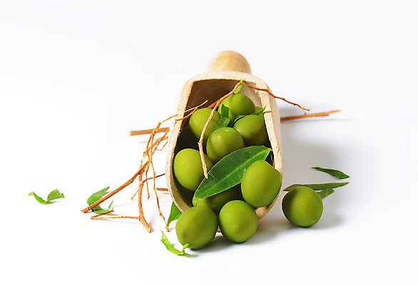 포토 JPG 해외이미지 스튜디오촬영 실내 사람없음 여러개 나뭇가지 흰배경 올리브 스쿱 올리브잎 해외202004 해외202105 해외포토 나무 열매 다수 백그라운드 잎 내부 흰색 파일형식