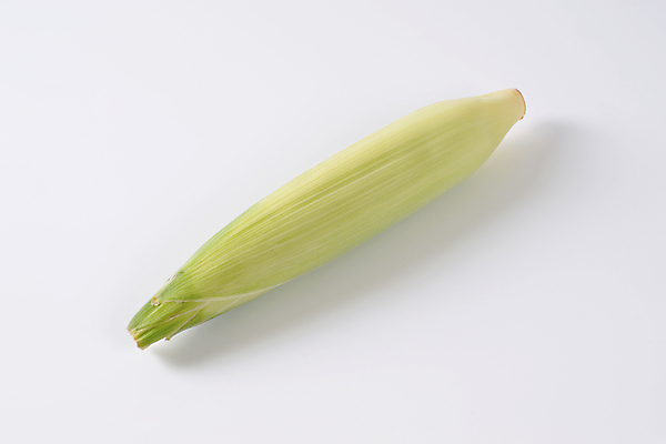 포토 JPG 해외이미지 실내 옥수수 사람없음 흰배경 옥수수껍질 해외202004 해외202105 해외포토 백그라운드 곡류 내부 껍질 흰색 파일형식