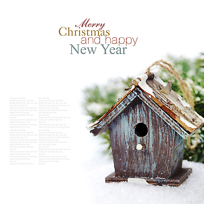 포토 JPG 해외이미지 크리스마스장식 크리스마스 타이포그라피 사람없음 아웃포커스 크리스마스트리 흰배경 새장 오너먼트 카피스페이스 해외202004 해외포토 문자 기념일 백그라운드 촬영기법 공백 흰색 케이지 파일형식